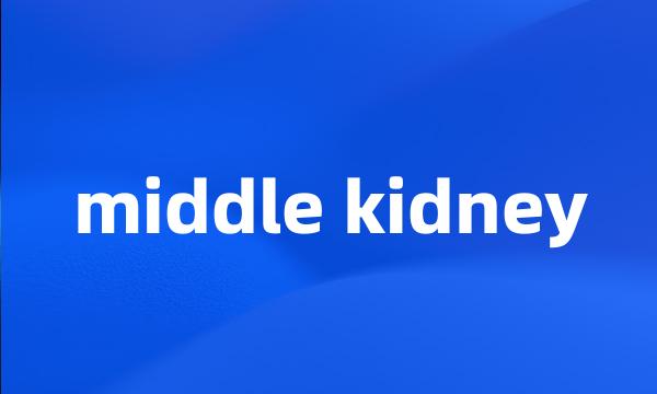 middle kidney