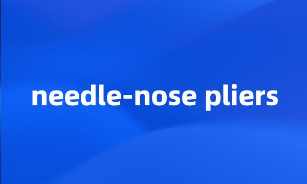 needle-nose pliers