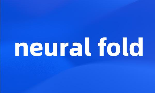 neural fold