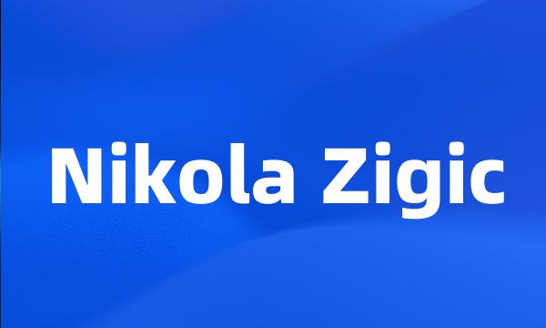 Nikola Zigic