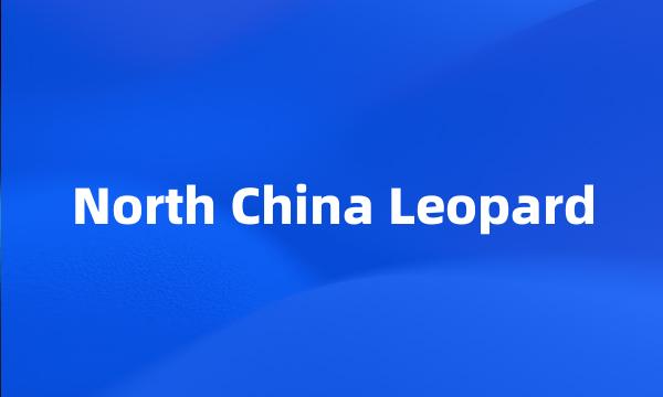 North China Leopard