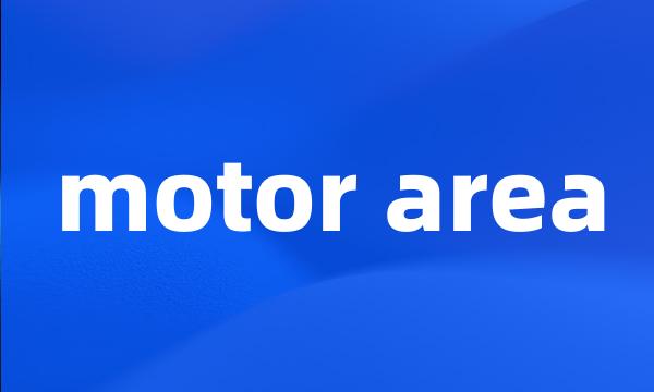 motor area