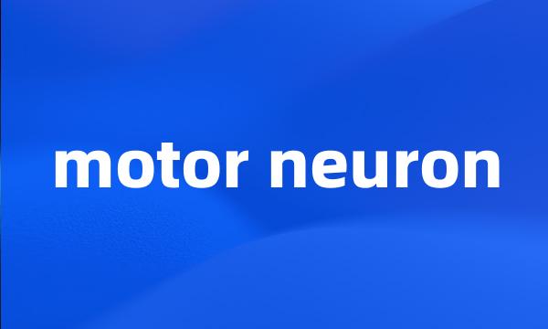 motor neuron