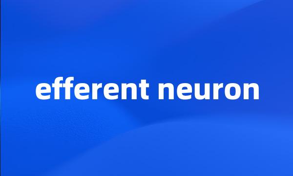 efferent neuron