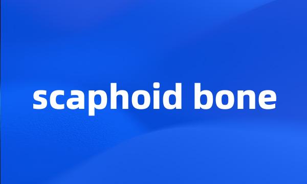 scaphoid bone