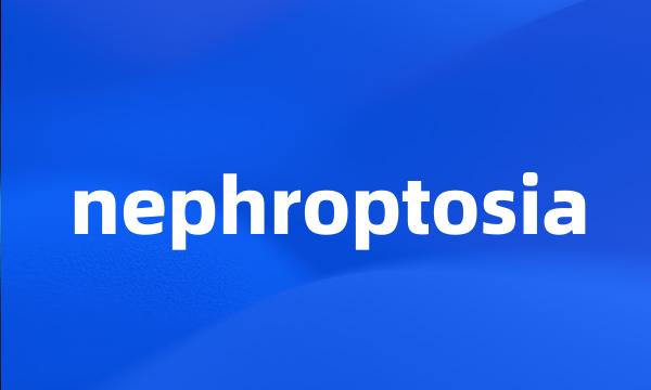 nephroptosia