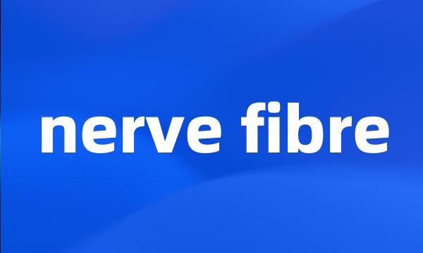 nerve fibre