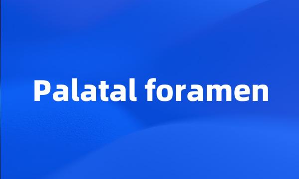 Palatal foramen