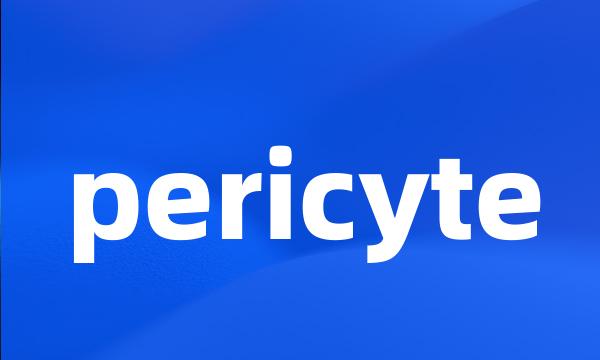 pericyte