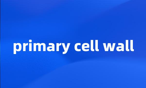 primary cell wall