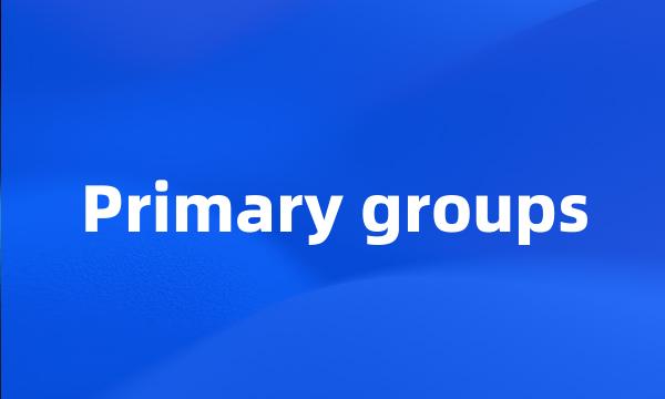 Primary groups