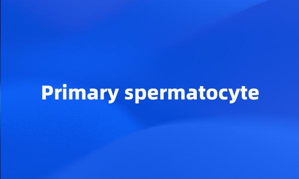 Primary spermatocyte