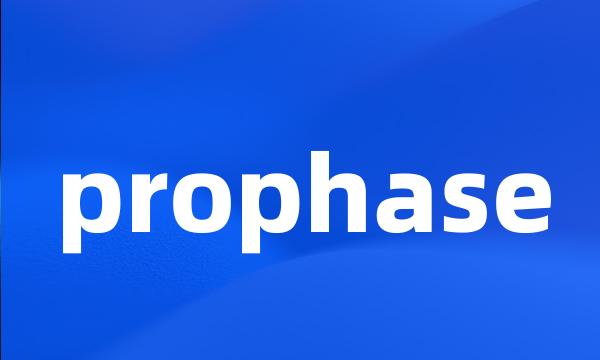 prophase