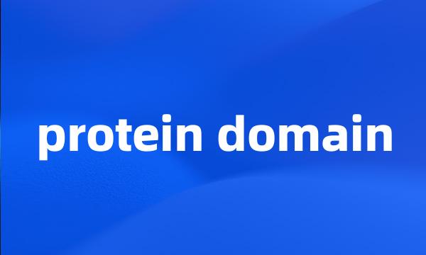 protein domain