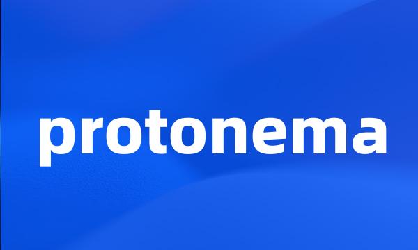 protonema