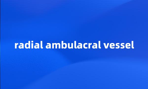 radial ambulacral vessel