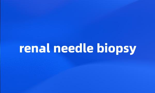 renal needle biopsy