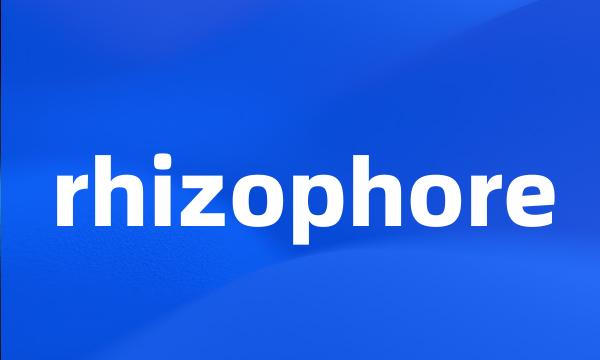 rhizophore