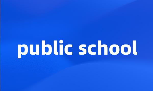 public school