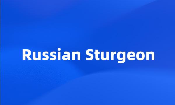 Russian Sturgeon