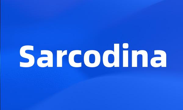 Sarcodina