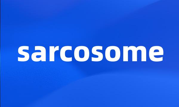 sarcosome