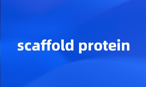 scaffold protein