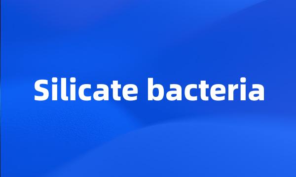 Silicate bacteria