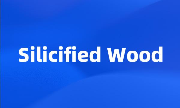 Silicified Wood