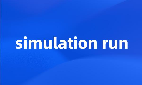 simulation run