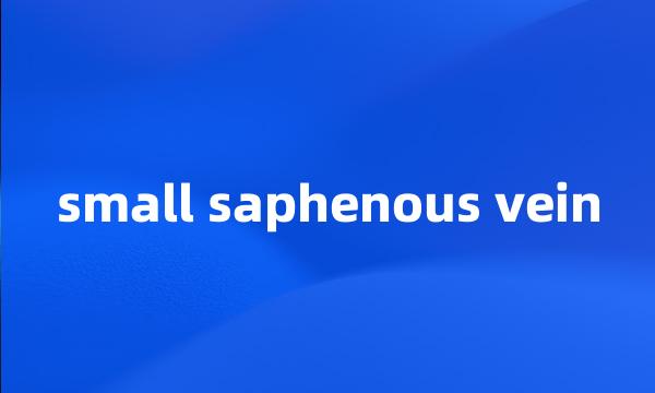 small saphenous vein