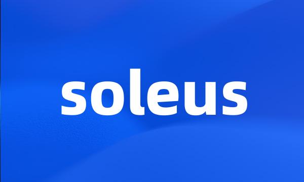 soleus