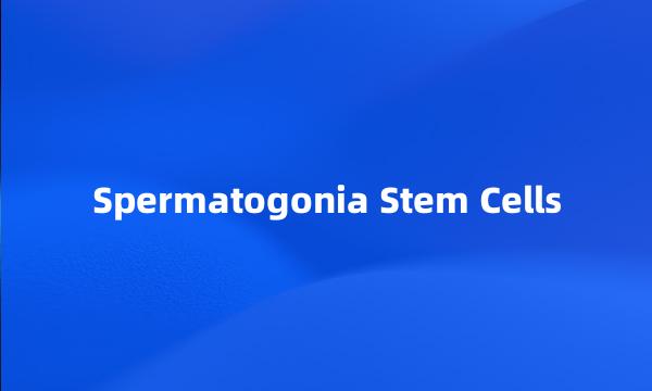 Spermatogonia Stem Cells