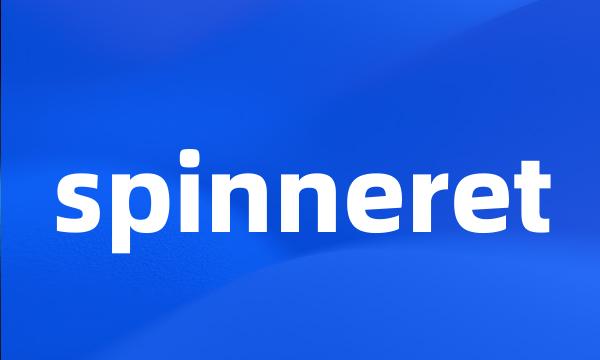 spinneret