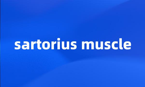 sartorius muscle