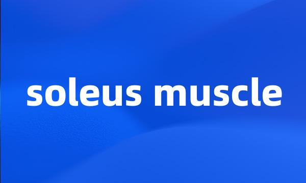 soleus muscle