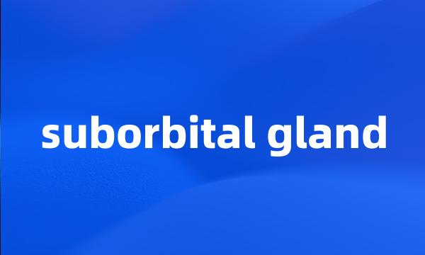 suborbital gland