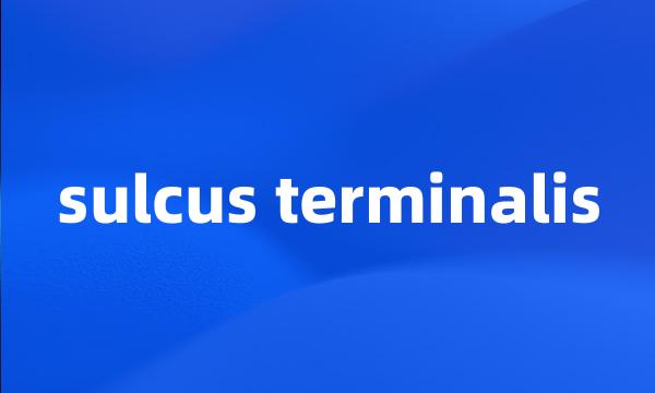 sulcus terminalis