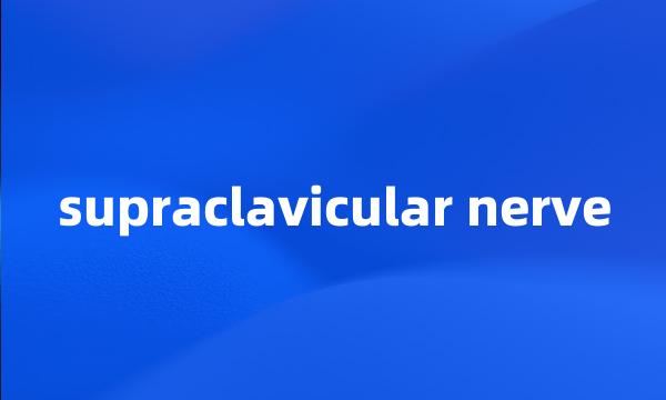 supraclavicular nerve