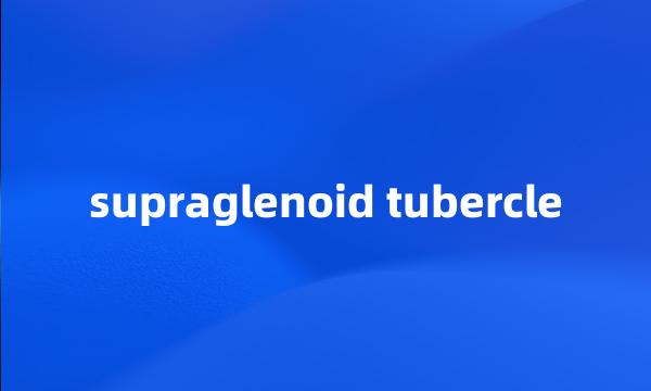 supraglenoid tubercle