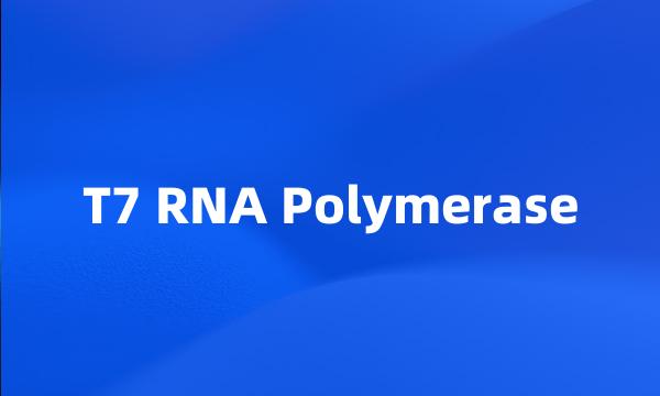 T7 RNA Polymerase