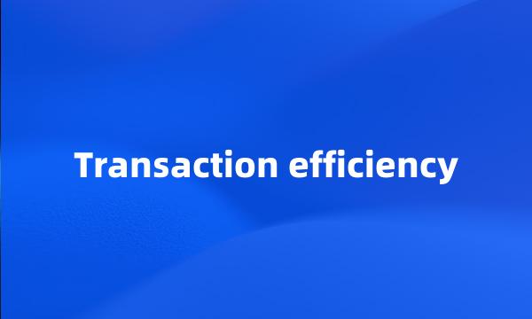 Transaction efficiency