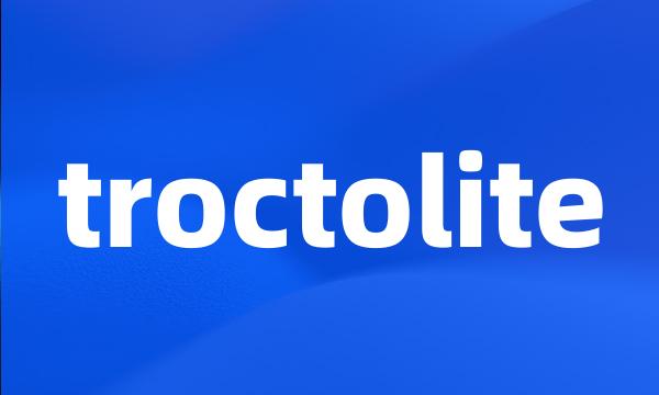 troctolite