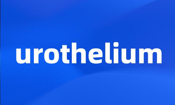 urothelium