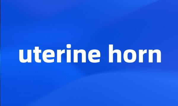 uterine horn