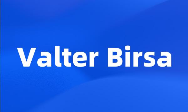 Valter Birsa