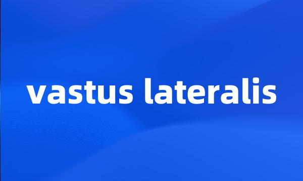 vastus lateralis