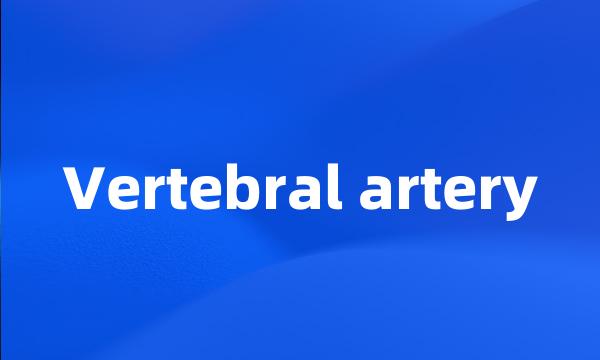 Vertebral artery