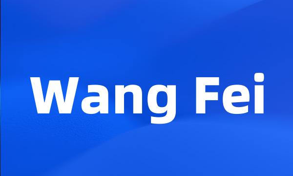 Wang Fei