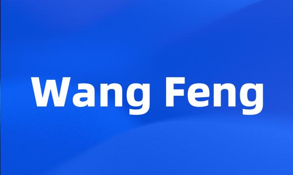 Wang Feng